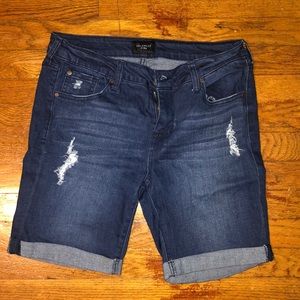 Indigo Bermuda Stretch Shorts